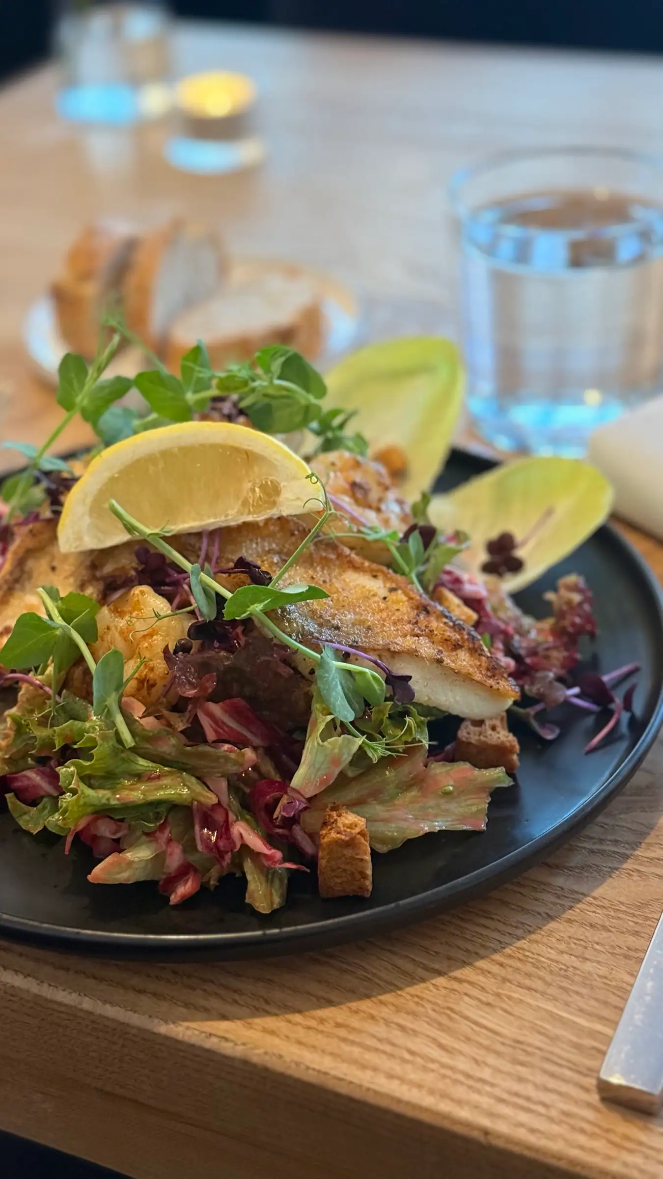 Pan-fried fish on salad with lemon