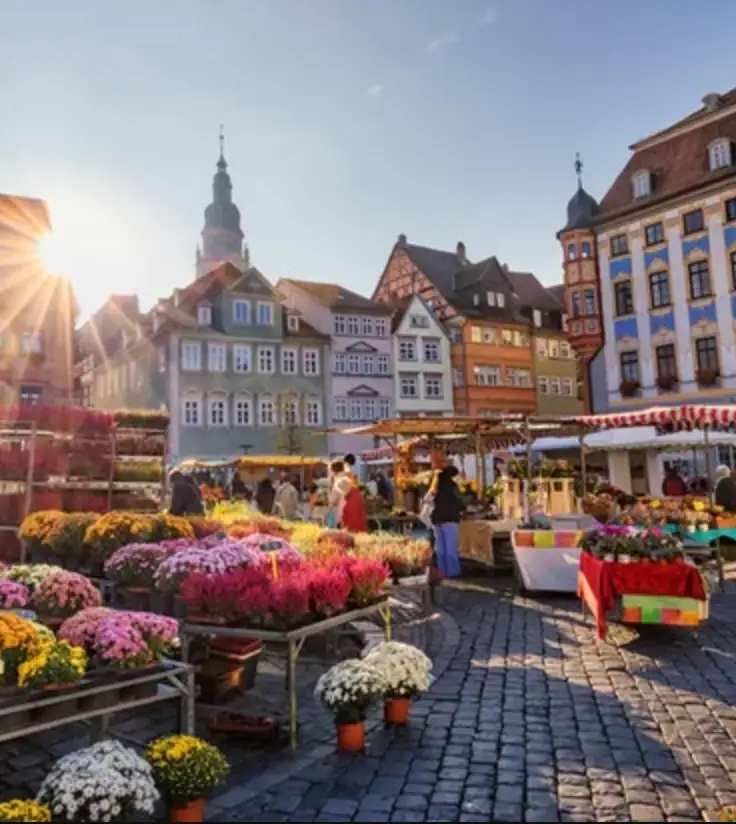 Wochenmarkt auf dem Coburger Marktplatz mit Blumenständen